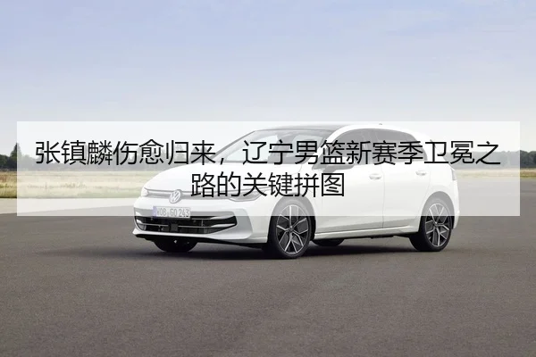 张镇麟伤愈归来，辽宁男篮新赛季卫冕之路的关键拼图